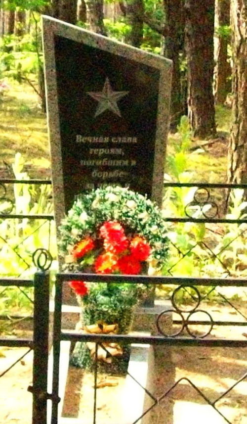 д. Крынка Осиповичского р-на. Памятник на кладбище был установлен в 1977 году на братской могиле, в которой похоронено 9 советских воинов, погибших в 1944 году.