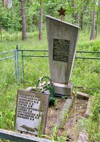 д. Староселье Шкловского р-на. Памятник установлен в 1983 году на месте захоронение 14 партизан и 400 жертв нацизма, погибших в годы войны.