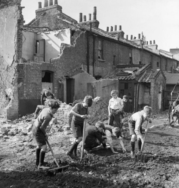 Британцы работают в «саду победы» на выращивании овощей. 1940 г. 
