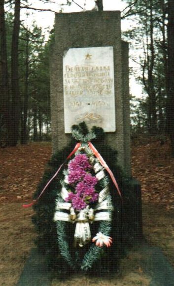 д. Моисеевичи Осиповичского р-на. Памятник на окраине деревни, установлен в 1975 году на братской могиле, в которой похоронено 6 советских воинов, в т.ч. 5 неизвестных, погибших в1944 году. 