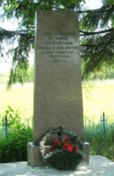 д. Мошок Чаусского р-на. Братская могила, в которой захоронено 96 воинов.