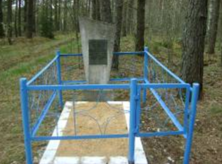 д. Граковка Краснопольского р-на. Памятник, установленный на братской могиле, в которой похоронено 5 советских воинов, в т.ч. 3 неизвестных, погибших в годы войны.