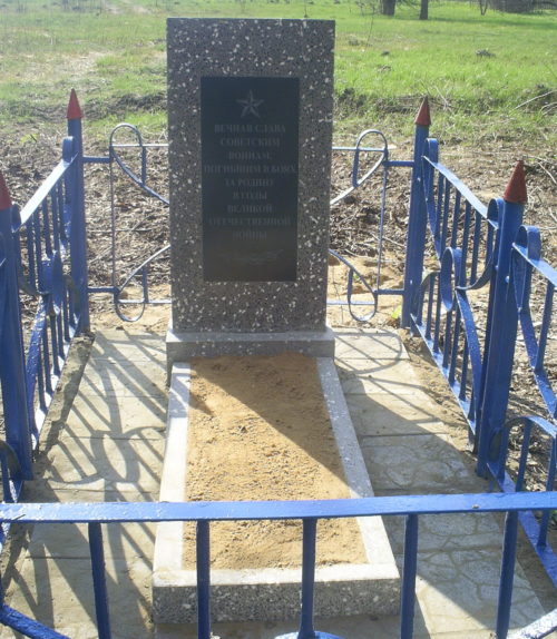д. Калиновый Бор Краснопольского р-на. Памятник, установленный на братской могиле, в которой похоронено 7 советских воинов, погибших в годы войны.