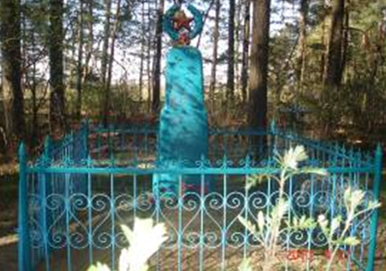 д. Медведовка Краснопольского р-на. Памятник, установленный на братской могиле, в которой похоронено 3 советских воина, погибших в 1943 году.