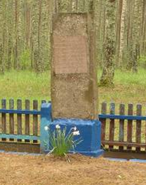д. Победа Краснопольского р-на. Памятник, установленный на братской могиле, в которой похоронено 11 советских воинов, погибших в годы войны. 
