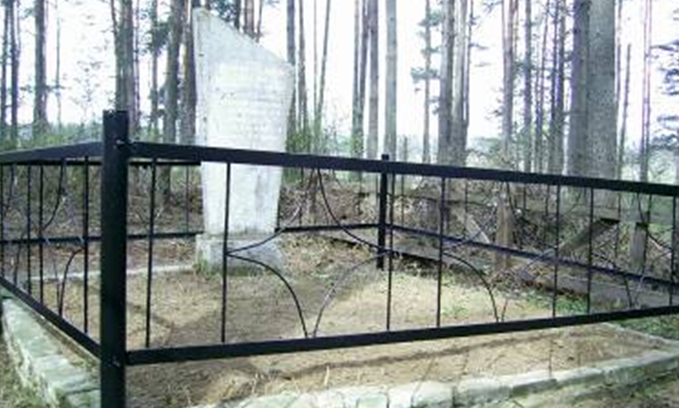 д. Старая Ельня Краснопольского р-на. Памятник, установленный на братской могиле, в которой похоронено 20 советских воинов, погибших в годы войны. 