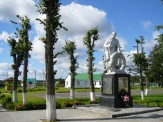 д. Ботвиновка Кричевского р-на. Братская могила. Памятник установлен в 1968 году на братской могиле советских воинов, погибших в 1943 году. 