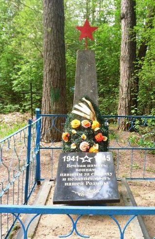 д. Верховцы Кричевского р-на. Памятник, установлен на братской могиле, в которой похоронено 12 неизвестных советских воинов. 