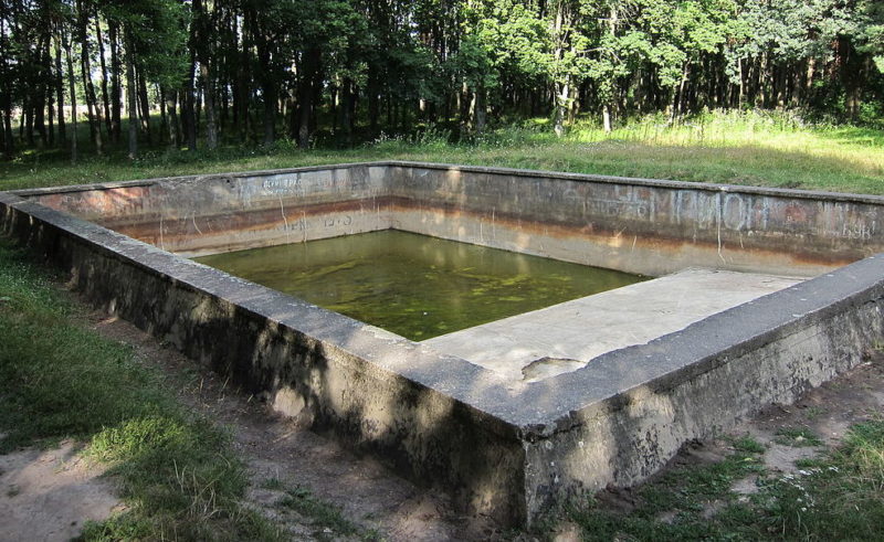 Местная «знаменитость» - остатки плавательного бассейна с отпечатком немецкого сапога на бетоне.