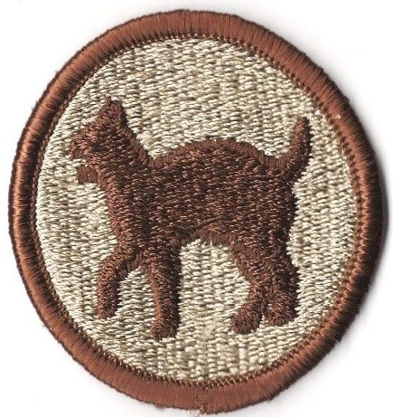 81-я пехотная дивизия. Созданная в 1944 году.