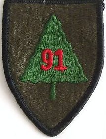 91-я пехотная дивизия. Созданная в 1943 году.