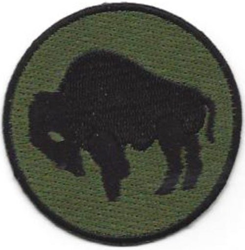 92-я пехотная дивизия. Созданная в 1942 году.