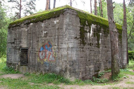 Дизель-генераторная в лесу, называемая «Западный» или бункер Гитлера.