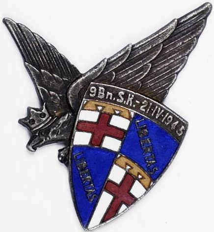 Аверс и реверс памятного знака 9-го стрелкового батальона.