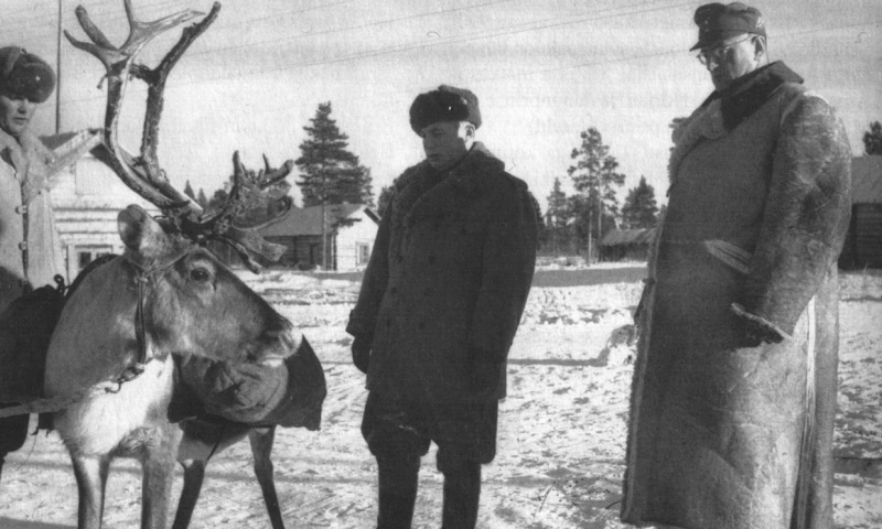 Фердинанд Шернер рассматривает северного оленя, используемого, как вьючное животное. 1941г.