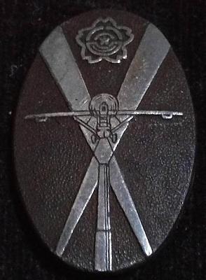 Аверс и реверс памятного знака участнику манёвров ПВО в Ханшине в 1935 г.