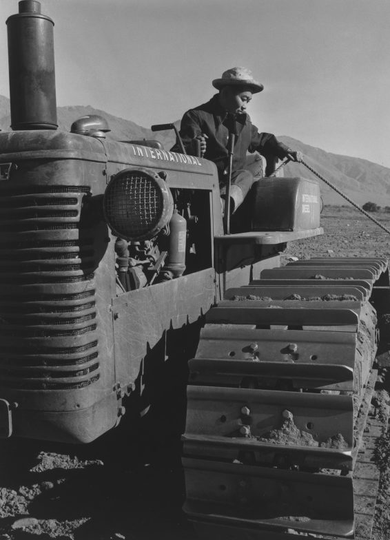 Бенджи Игучи работает на тракторе. Лагерь «Манзанар». 1943 г. 