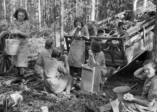 «Лотты» в лесном лагере. 1937 г.