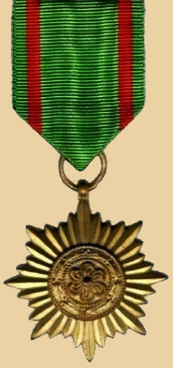 Орден «За заслуги» 2-го класса в «золоте».