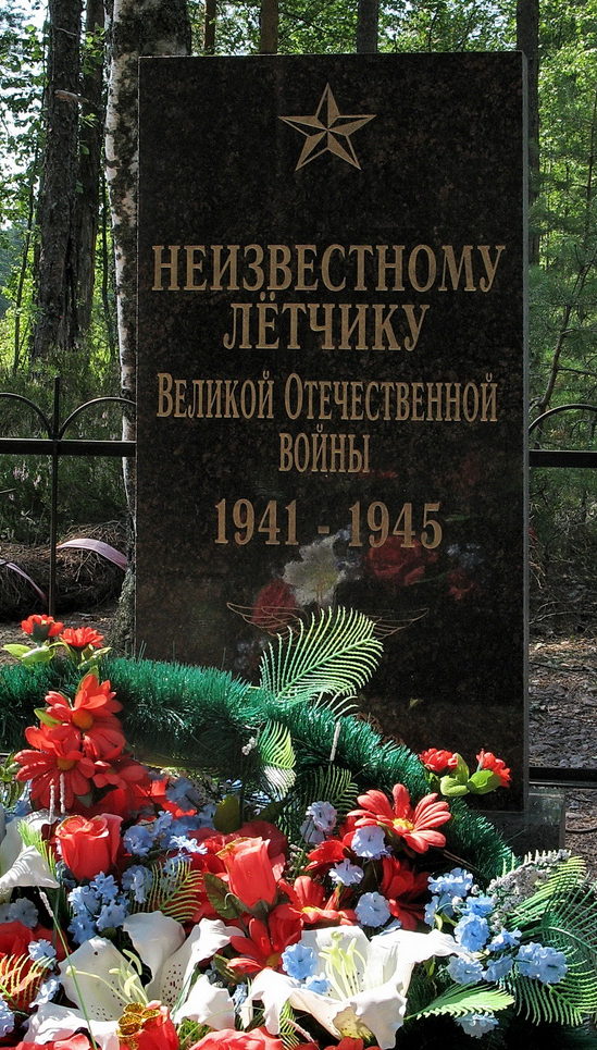 г. Зеленогорск. Памятник неизвестному летчику, установленный на территории ОПС «Красавица».