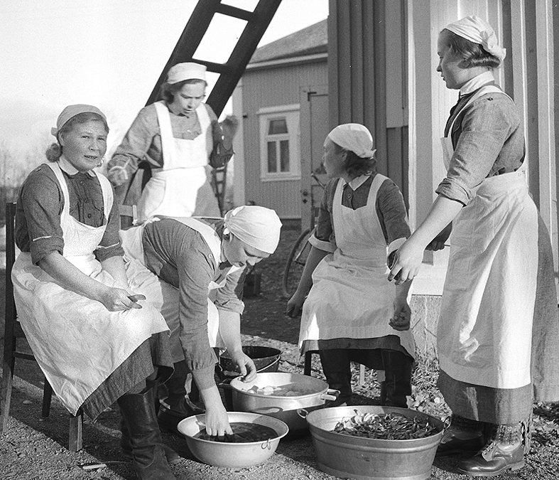 Женщины «Lotta Svärd» готовят еду для финских добровольцев в лагере. 1941 г. 