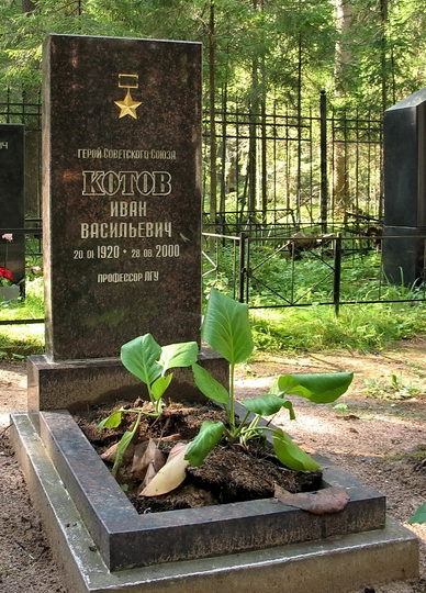 п. Комарово. Памятник на могиле Героя Советского Союза Котова И.В., установленный на поселковом кладбище.