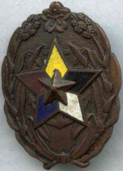 Аверс и реверс бронзового знака Союза Морской Самообороны.
