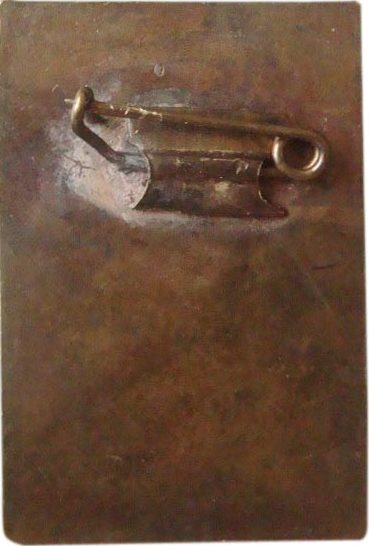 Аверс и реверс памятного знака «Халхин Гол 45 лет». Изготовлен из латуни, крепление-булавка, холодные эмали.