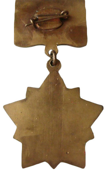 Аверс и реверс памятного знака «Халхин-Гол 50 лет». Изготовлен из латуни, крепление-булавка, холодные эмали.