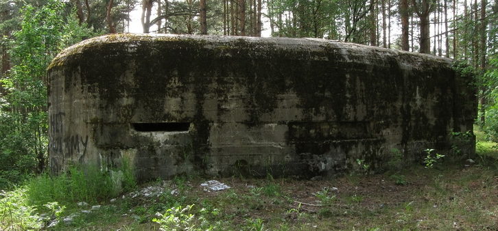 ДОТ № 123, КаУР. г. Сестрорецк, северо-восточная граница Сестрорецкого воинского кладбища. 