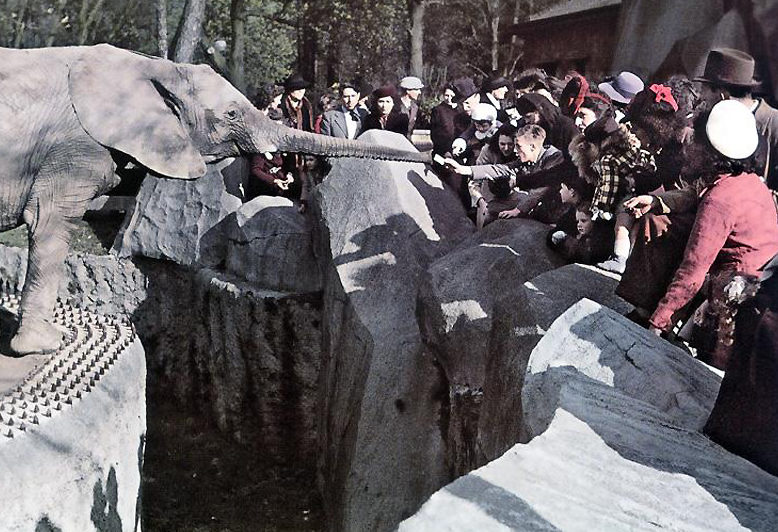 В Венсеннском зоопарке. 1943 г.