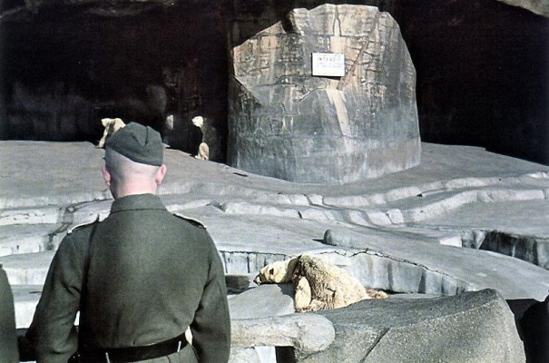 В Венсеннском зоопарке. 1943 г.