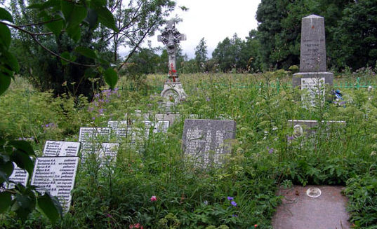 д. Васильково Кировского р-н. Воинское братское кладбище, где в братских могилах захоронено 923 советских воина. 