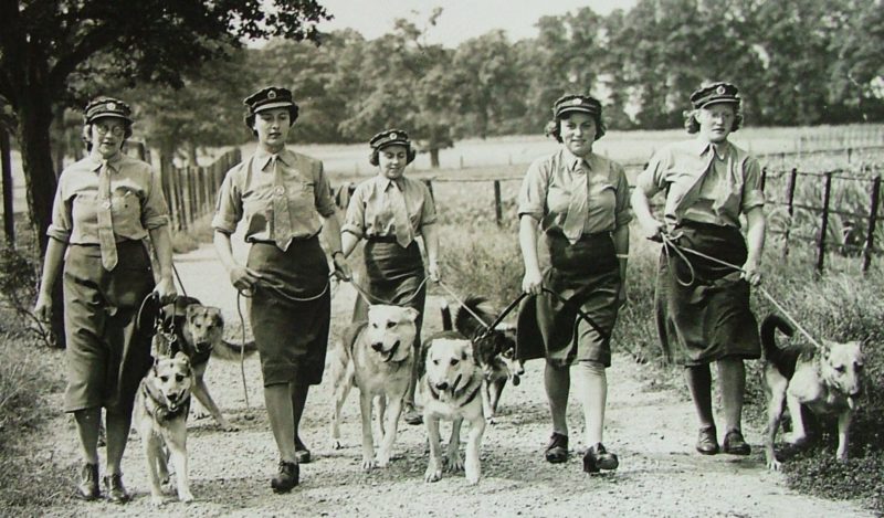 Служащие женской вспомогательной армии со своими питомцами в школе Нортава.