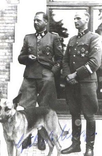 Собаки личной охраны офицеров.