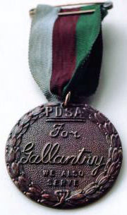 Медаль Марии Дикин для животных.