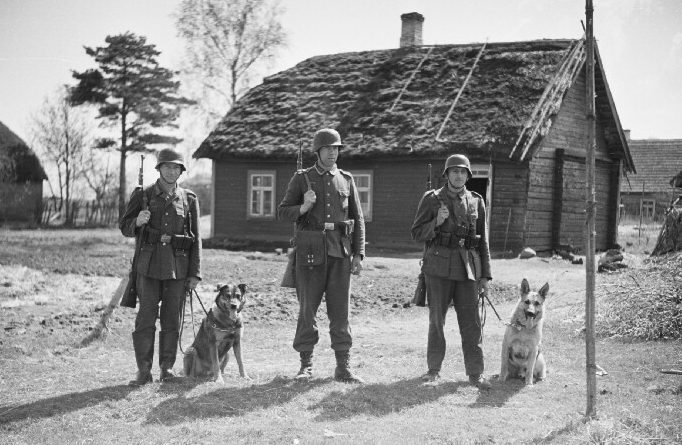 Поисковые собаки ягдкоманд по борьбе с партизанами.