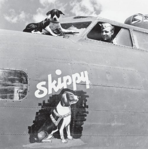 «Летающая крепость» с рисунком талисмана собаки по кличке Скиппи.