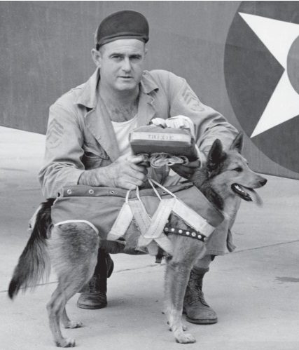 Трикси - талисман 16-й наблюдательной эскадрильи. Собака летала, поэтому оснащена собственным парашютом, который был перестроен с факельного парашюта сержантом Джоном Патриком.