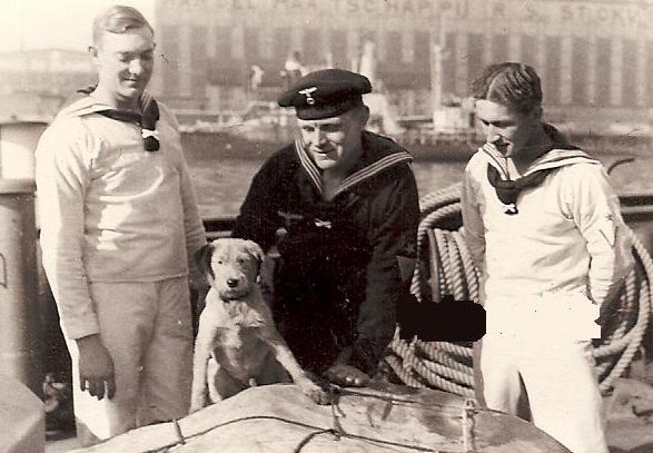 Собаки на флоте.