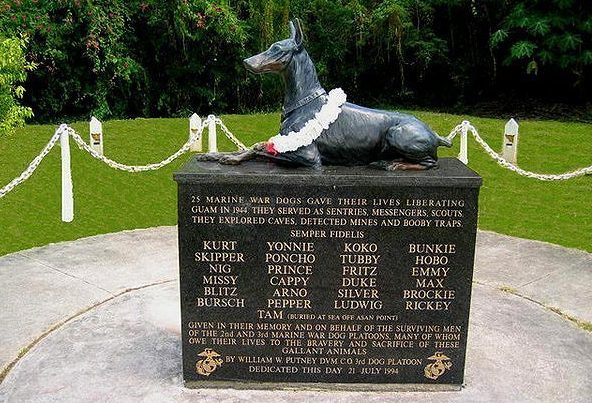 Памятник 25 погибшим доберманам-разведчикам морской пехоты на острове Гуам. США.