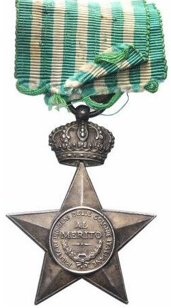 Звезда заслуг для местных вооруженных сил итальянских колоний (15 лет службы и исключительных заслуг).