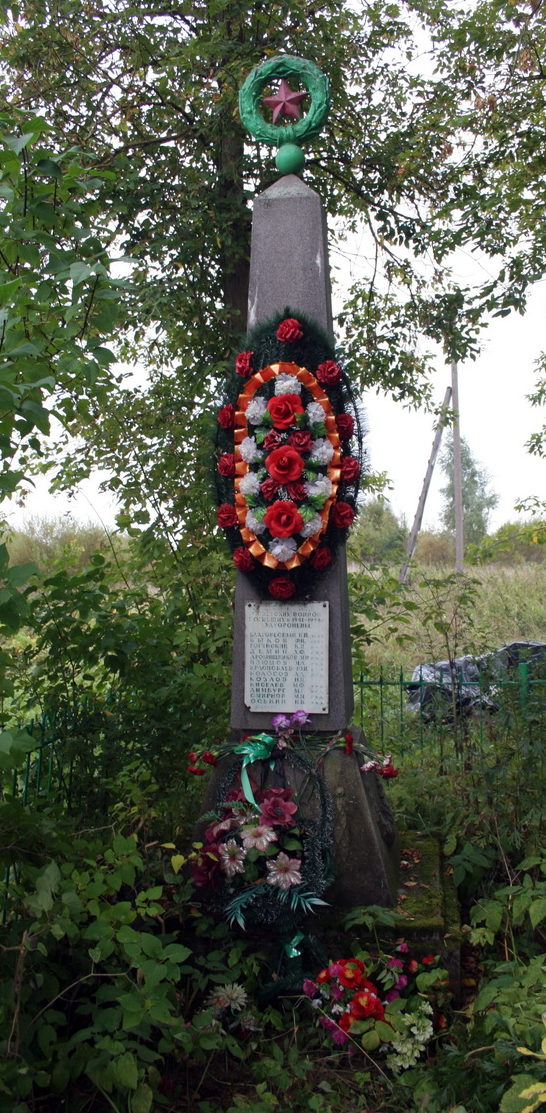 д. Волна Волосовского р-на. Памятник, установленный на братской могиле, в которой похоронено 13 воинов. 