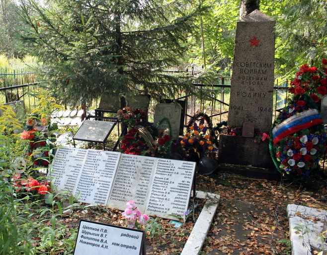 ст. Назия Кировского р-на. Памятник на кладбище, установлен на братской могиле, в которой похоронено 4 861 советский воин. 