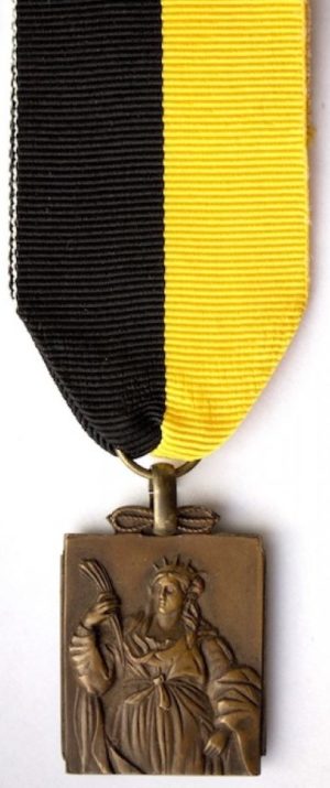 Аверс и реверс памятной медали 49-го артиллерийского полка.