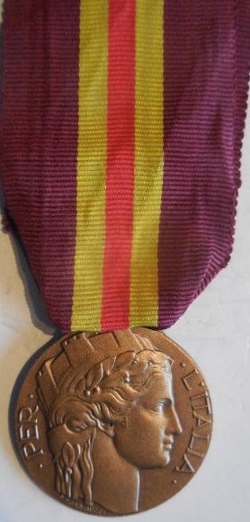 Аверс и реверс медали «За заслуги волонтеров в Испанской кампании».