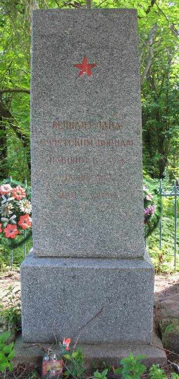д. Белое Лужского р-на. Памятник, установленный на могиле партизан. 