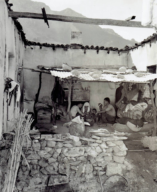 Разрушенное жилье греков. 1943 г. 