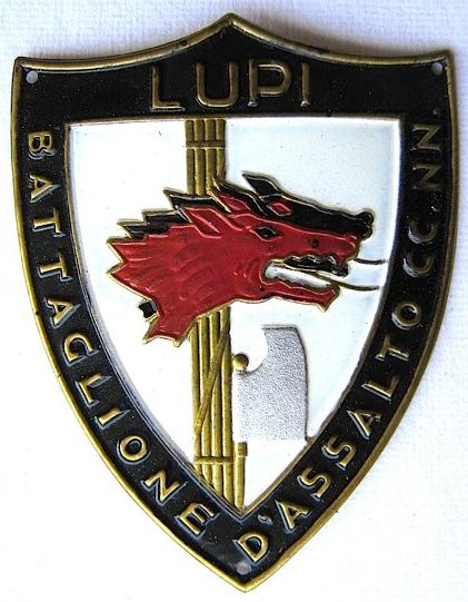 Аверс и реверс нарукавного щита штурмового батальона «Лупи».