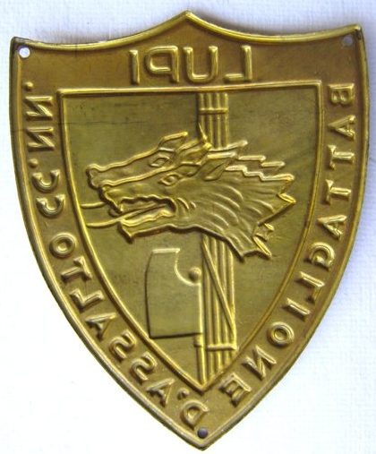 Аверс и реверс нарукавного щита штурмового батальона «Лупи».
